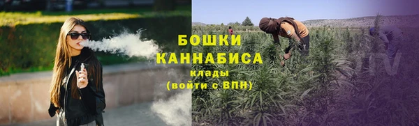 прущие грибы Алексин