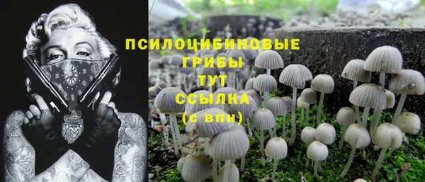 первитин Алексеевка