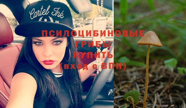 прущие грибы Алексин