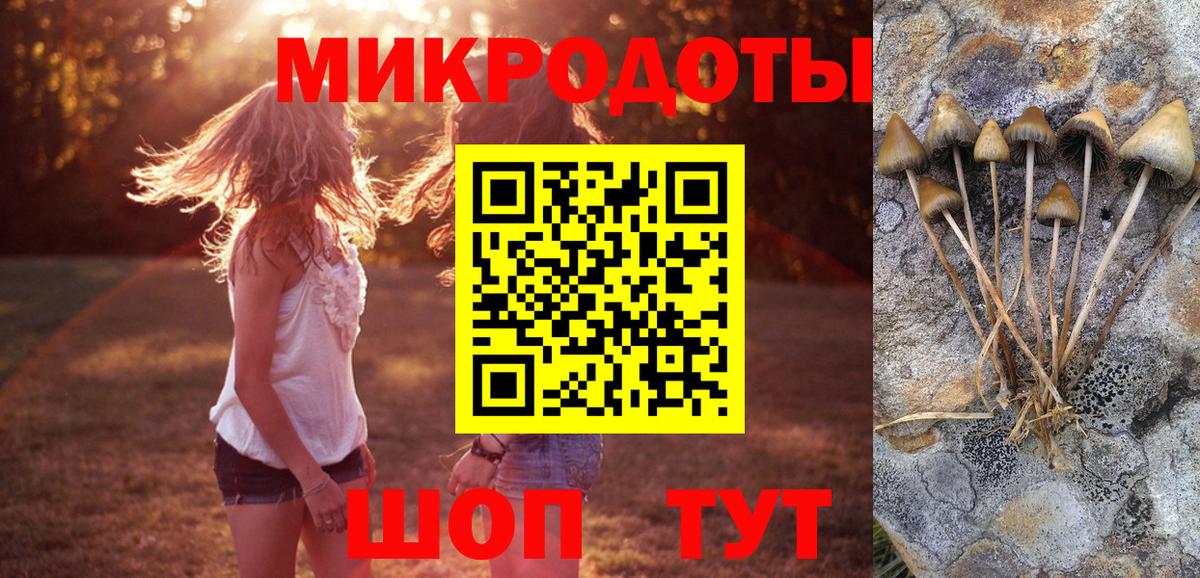Галлюциногенные грибы мицелий  Вход с VPN  Тамбов 